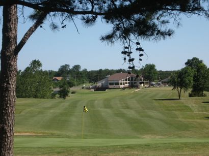 view of green with flag from behind a tree